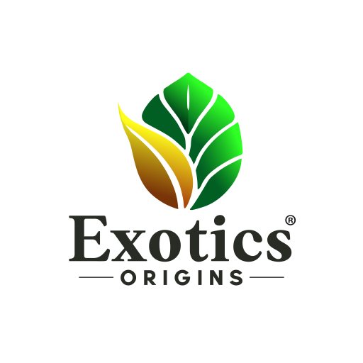 Exotics Origins ® | Boutique en Ligne Officielle